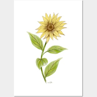 Sunflower Posters and Art